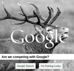 Is Google the Competion